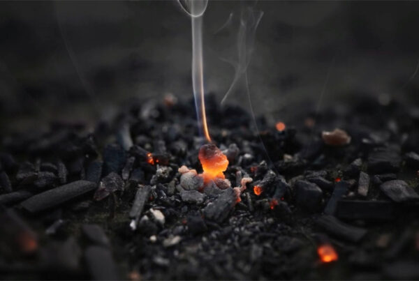 A bright coal burns brightly among the smouldering ash. From the Mossbeard song - Envy the dead.