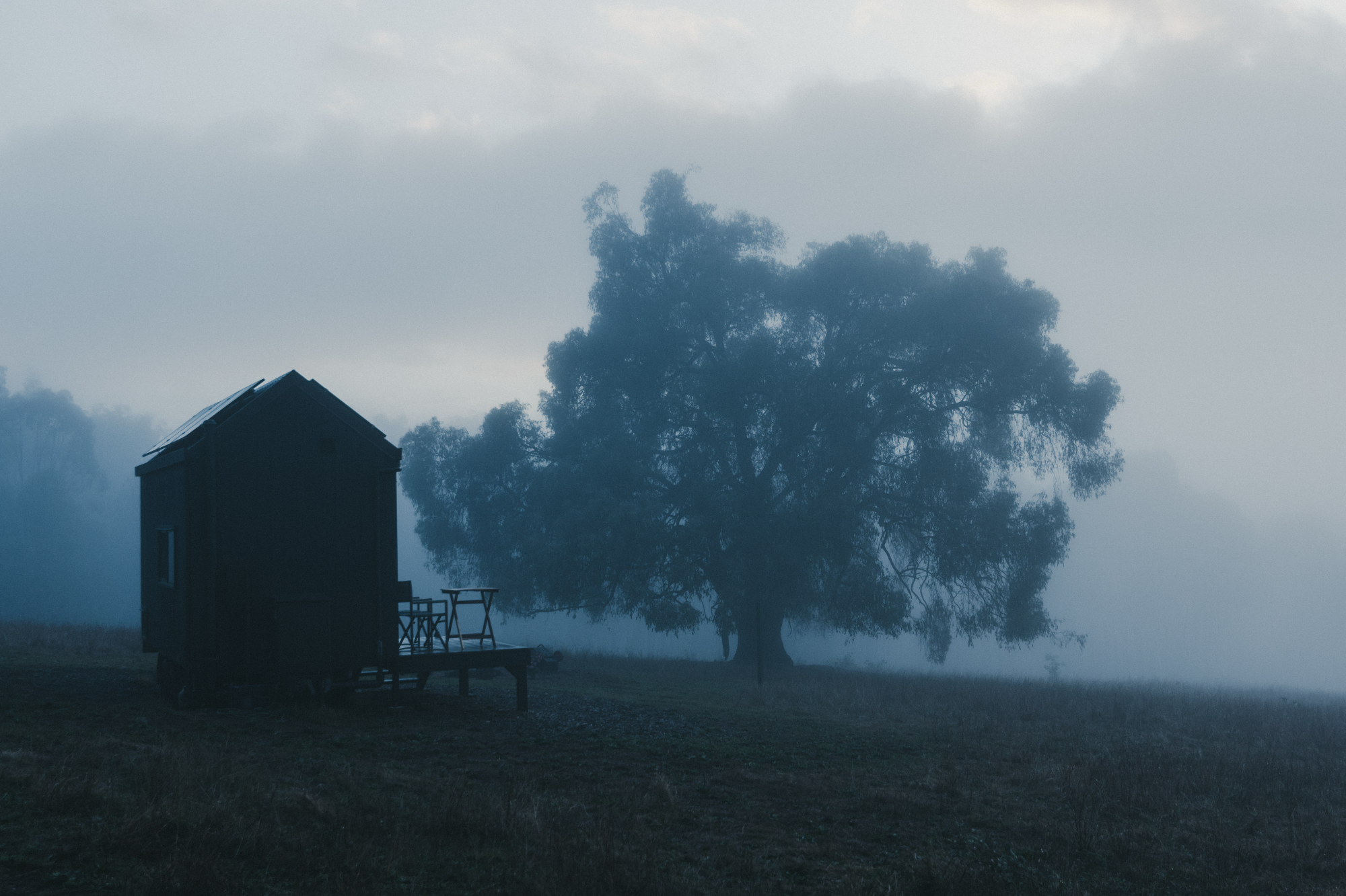 Mossbeard - In the fog - A tiny house next to a bix tree enshrouded by fog.