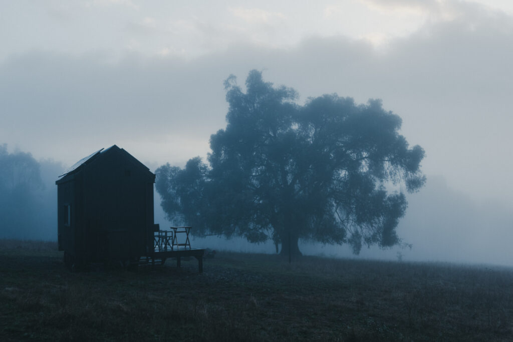 Mossbeard - in the fog - A tiny house next to a big old tree on a misty morning.