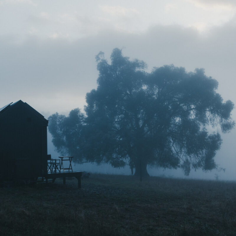 Mossbeard - in the fog - A tiny house next to a big old tree on a misty morning.
