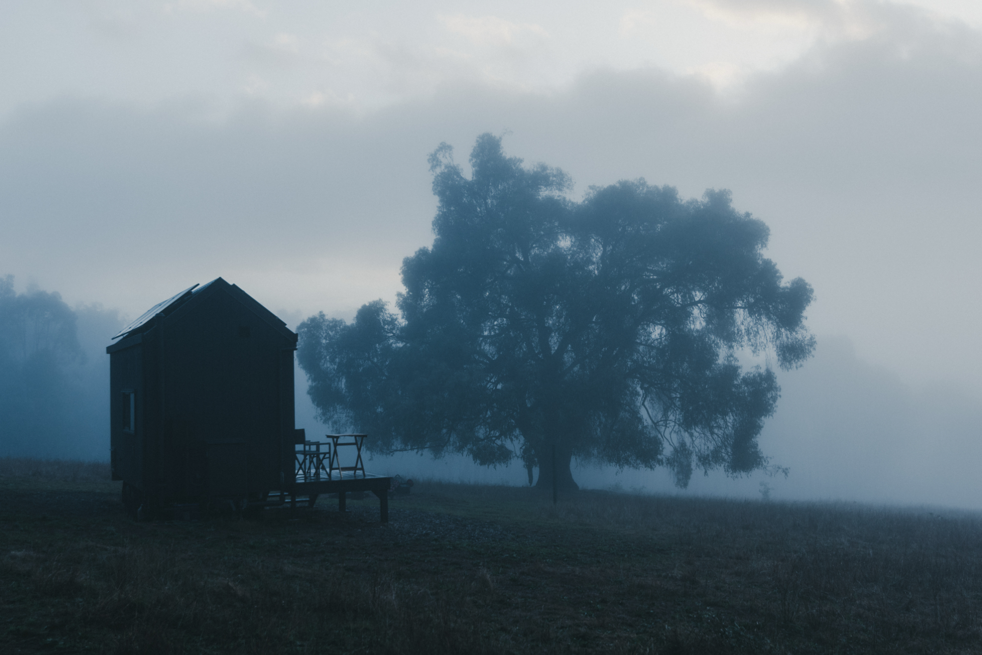 Mossbeard - in the fog - A tiny house next to a big old tree on a misty morning.